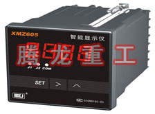 溫度表、數(shù)字顯示儀、濕度表