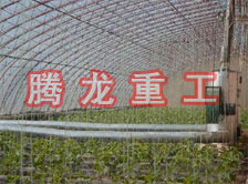 大棚花卉供暖設(shè)備、大棚卉采暖設(shè)備、大棚花卉取暖設(shè)備