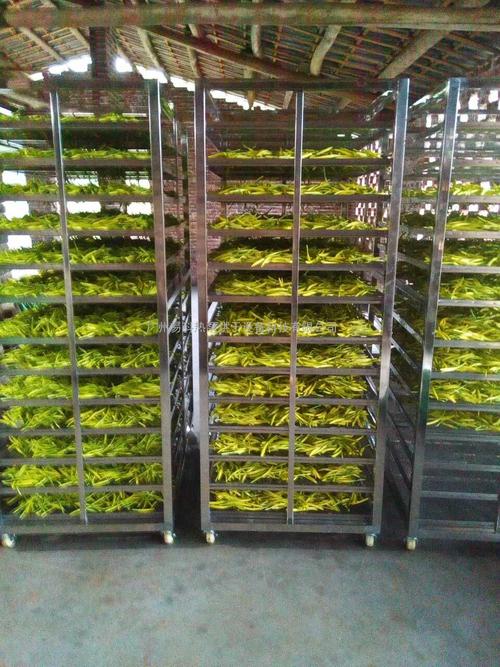 黃花菜烘干機(jī)、黃花菜烘干設(shè)備、黃花菜干燥機(jī)、黃花菜干燥設(shè)備、